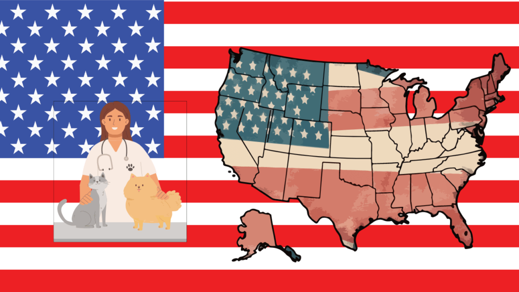 How Much Do Veterinary Technicians Make in Different States of the USA